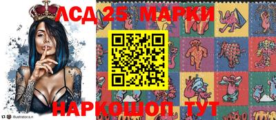 кокс Донской