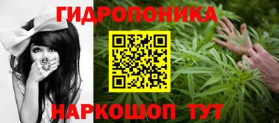 молекула духа Донецк