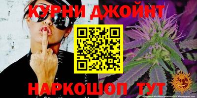 кокс Донской