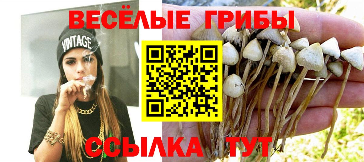 Псилоцибиновые грибы прущие грибы  Галлюциногенные грибы Magic Shrooms  купить   Набережные Челны  Вход с VPN 