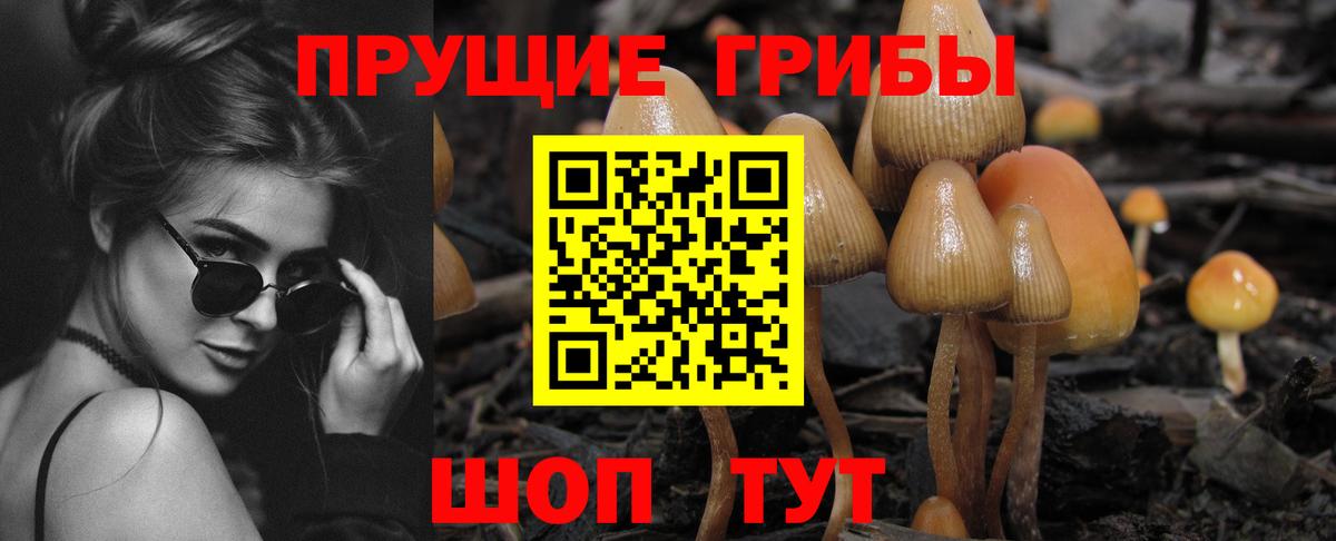 Псилоцибиновые грибы Psilocybe Набережные Челны